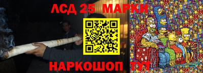 гидропоника Гагарин