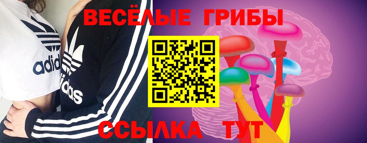 Галлюциногенные грибы Psilocybe Нефтеюганск